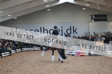 179022_kbb_01_R6II2473.JPG