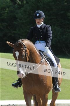 135676_sg_01_IMG_7725.JPG