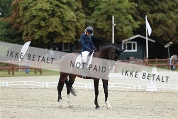 181923_mtp_02_R62_7094.JPG