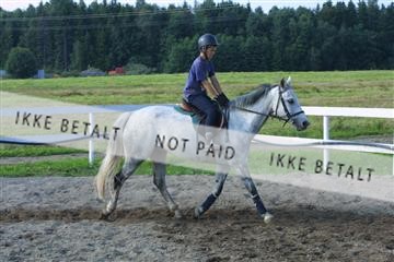 110-1032_IMG.JPG