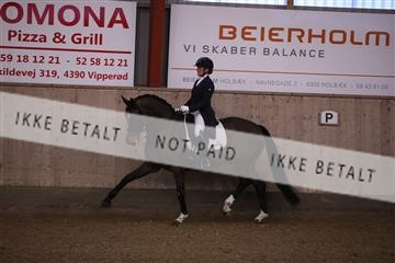 173782_mtp_01_3M5A8168.JPG