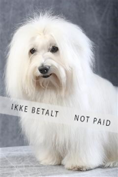 129608_le_ 01_0312.JPG