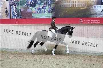 181887_mtp_04_R62_8669.JPG