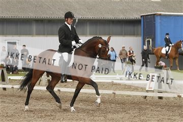 130918_sc_01_IMG_1209.jpg