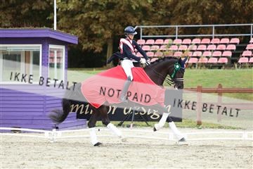 181923_mtp_03_R62_8115.JPG