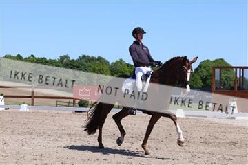 181449_bc_01R62_5597.JPG
