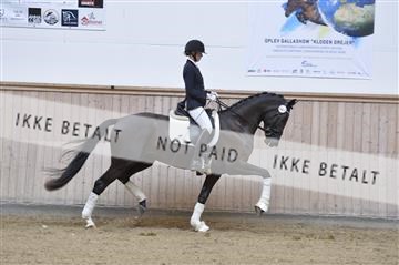 160111_nn_01__ESK1921.JPG