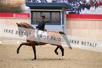 174186_kbb_01_R6II4581.JPG