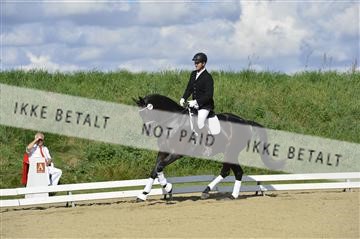 136195_abo_01__AB16369.JPG