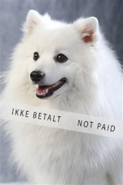 129608_le_ 01_0822.JPG