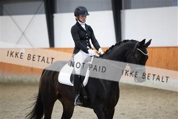 175681_avh_01_R62_1174.JPG