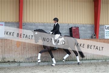 181867_mtp_02_R62_4841.JPG