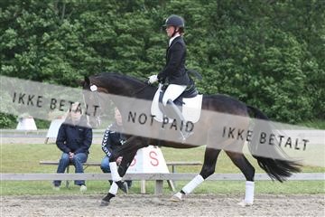 135518_ms_01_IMG_1914.JPG
