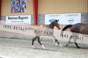 181868_mtp_03_R62_6041.JPG