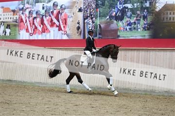 181887_mtp_05_R62_9422.JPG