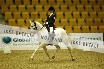 144963_ms_01__MG_9862.JPG