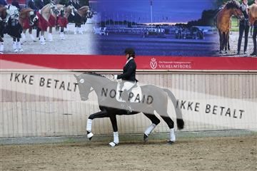 181887_mtp_05_R62_9592.JPG