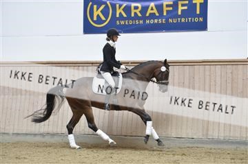 160111_nn_01__ESK1985.JPG