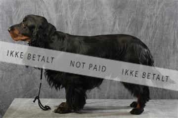 129608_le_ 01_0802.JPG