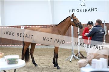 181755_tbj_01R62_2266.JPG