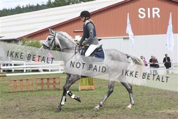 5925_ma_05_IMG_1035.JPG