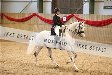 171342_mtp_01_3M5A8431.JPG
