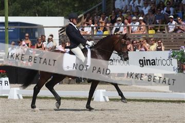 125257_abo_14_IMG_1940.JPG