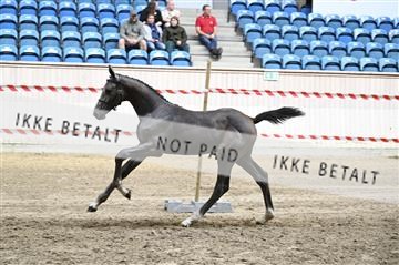 181754_kbb_01_Z093000.JPG