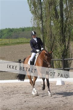 135086_sg_01_IMG_0028.JPG