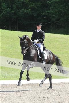 135676_sg_01_IMG_7896.JPG