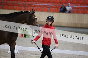 175139_bc_03_R62_4237.JPG