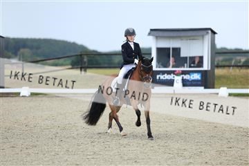 181894_mtp_05_R62_4195.JPG
