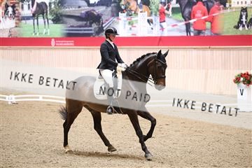 174186_kbb_01_R6II4539.JPG