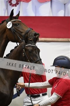 181957_kbb_01_Z097784.JPG