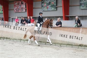 181867_mtp_02_R62_4372.JPG