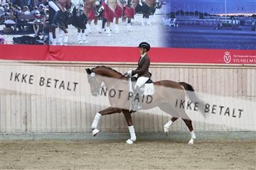 181887_mtp_01_R62_7140.JPG