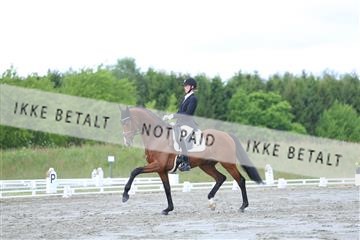 174661_kbb_01_R6II6586.JPG