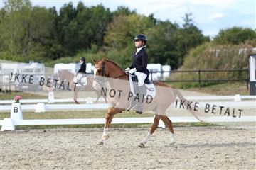 181894_mtp_05_R62_5036.JPG