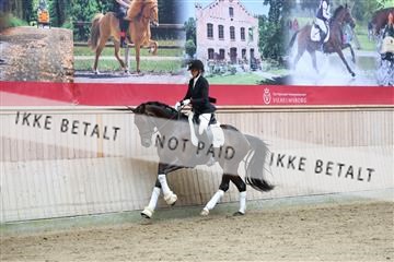 181887_mtp_04_R62_9051.JPG