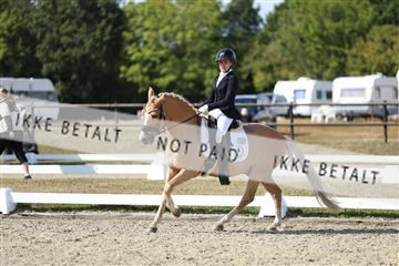 181894_mtp_05_R62_4807.JPG