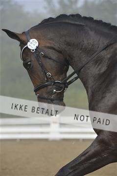 136195_abo_01__AB15353.JPG
