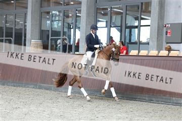 181852_mtp_04_R62_2963.JPG