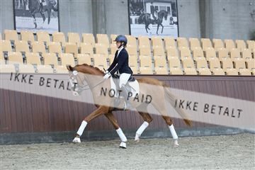 181852_mtp_04_R62_2770.JPG