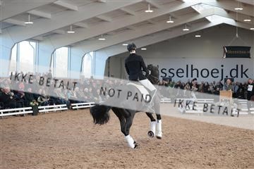 179022_kbb_01_R6II2619.JPG