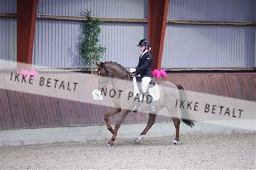 173883_mtp_01_3M5A9800.JPG