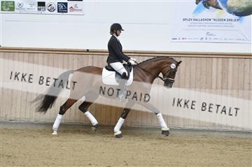 160111_nn_01__ESK1808.JPG
