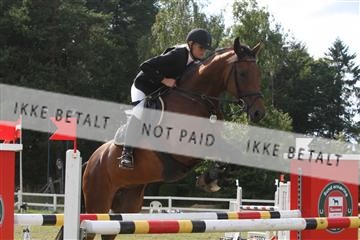 5925_ma_05_IMG_1502.JPG