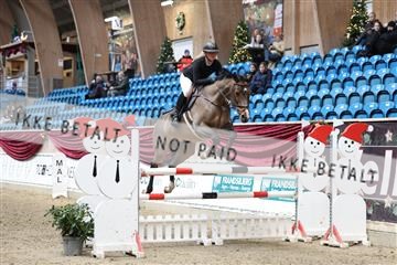 175934_avh_01_6132.JPG