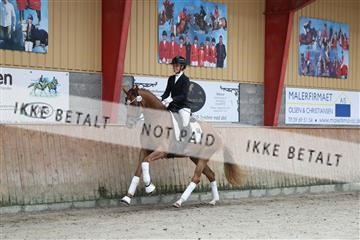 181867_mtp_02_R62_4424.JPG
