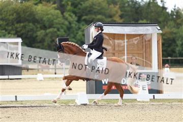 181894_mtp_02_R62_1148.JPG